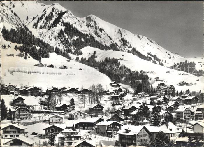 Chateau-d Oex Vue partielle