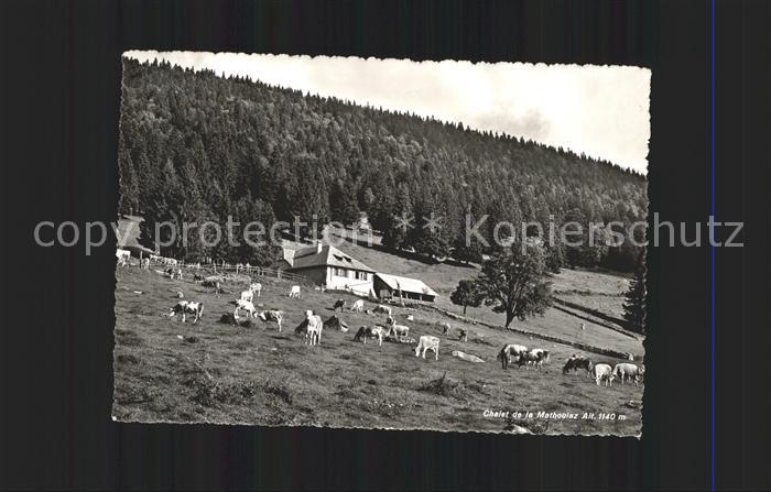 Orbe Chalet de la Mathoulaz Vaches