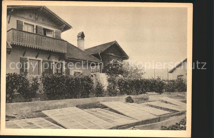 Grandson Le Repuis Institut d Orientation Culture maraicheres