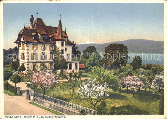 Estavayer-le-Lac Institut Stavia Neuenburgersee Baumbluete