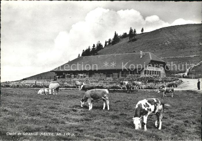 Hauterive FR Chalet de Grangeneuve Rinderherde