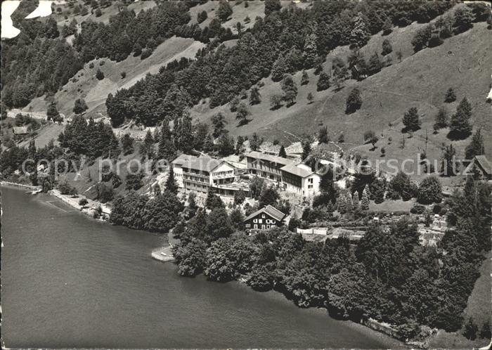 Gersau Vierwaldstaettersee Fliegeraufnahme