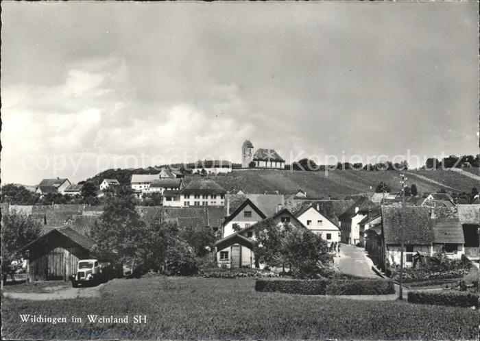 Wilchingen Panorama