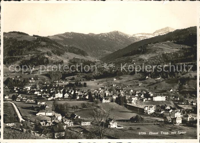 Ebnat-Kappel Panorama mit Speer Appenzeller Alpen