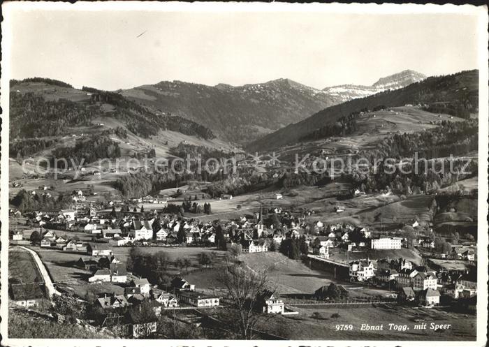 Ebnat-Kappel Panorama mit Speer Appenzeller Alpen