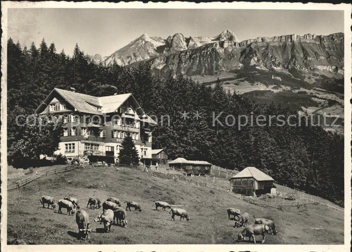 Buchs SG Hotel Kurhaus Buchserberg Viehweide Kuehe Alpenpanorama
