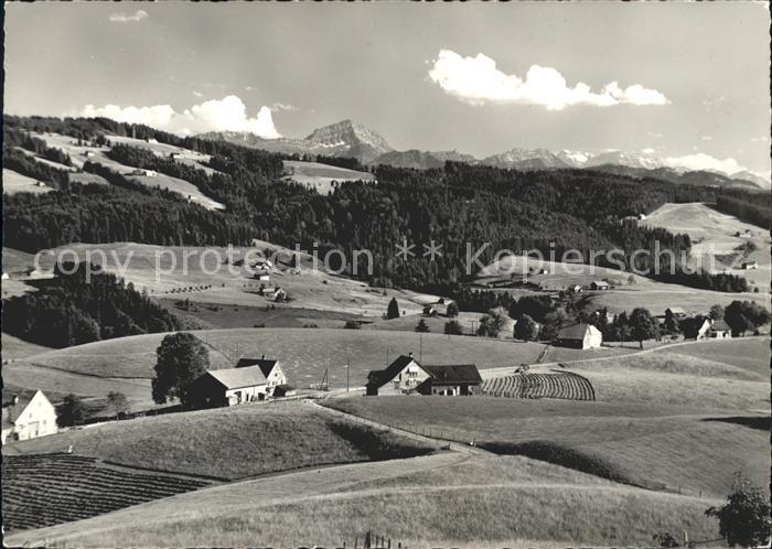 Heiterswil Reitenberg Speer