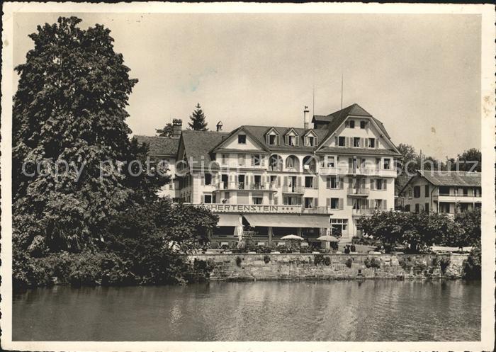 Hertenstein LU Hotel Hertenstein Vierwaldstaettersee
