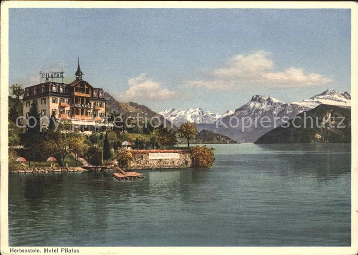 Hertenstein LU Hotel Pilatus