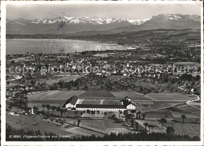 Sursee Fliegeraufnahme