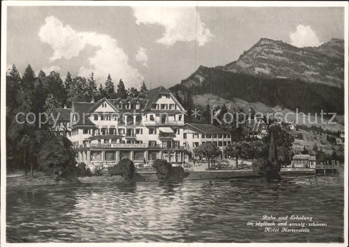 Hertenstein LU Hotel Hertenstein