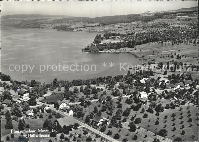 Mosen Hallwilersee Fliegeraufnahme