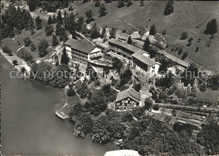 Gersau Vierwaldstaettersee Luftaufnahme