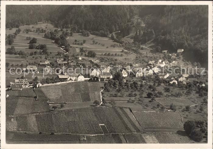 Jenins Fliegeraufnahme