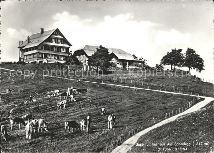 Wald ZH Gast und Kurhaus Alp Scheidegg