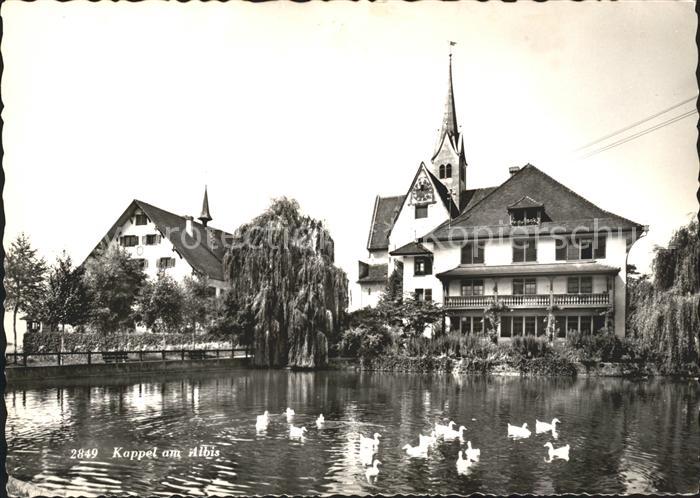 Kappel Albis Dorfpartie Schwanenteich