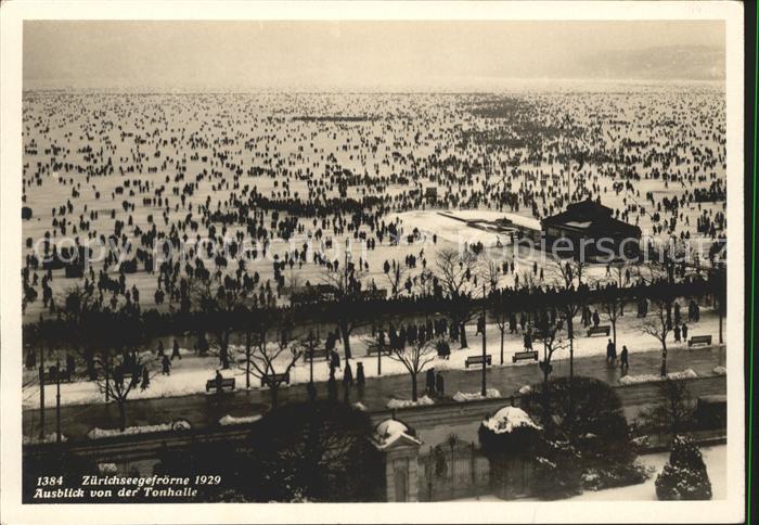 Zuerich Z?richseegefr?rle Ausblick von der Tonhalle