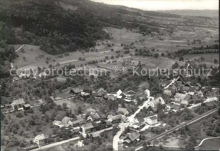 Zuerich Fliegeraufnahme S?nikon
