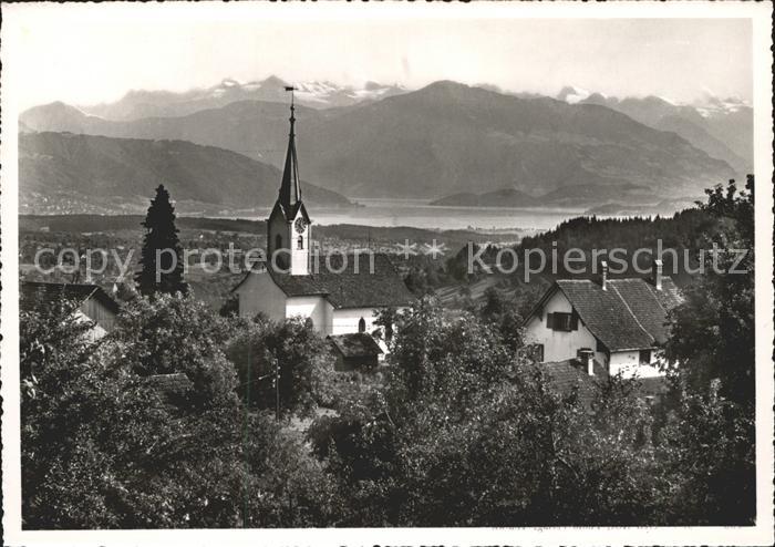 Aeugst Albis Panorama mit See Alpen