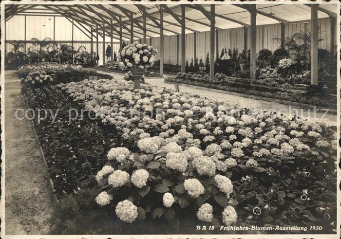 Zuerich Gartenbauausstelung 1930 Fruehjahrsblumen