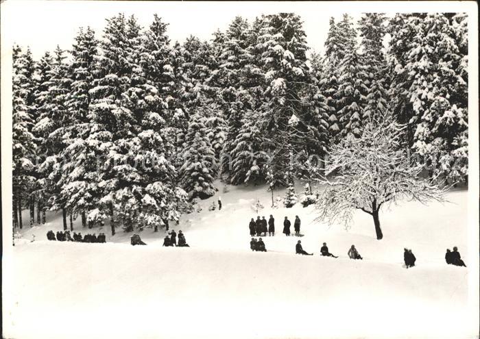 Thalwil Institutswald Maria-Hilf Schlitten fahren