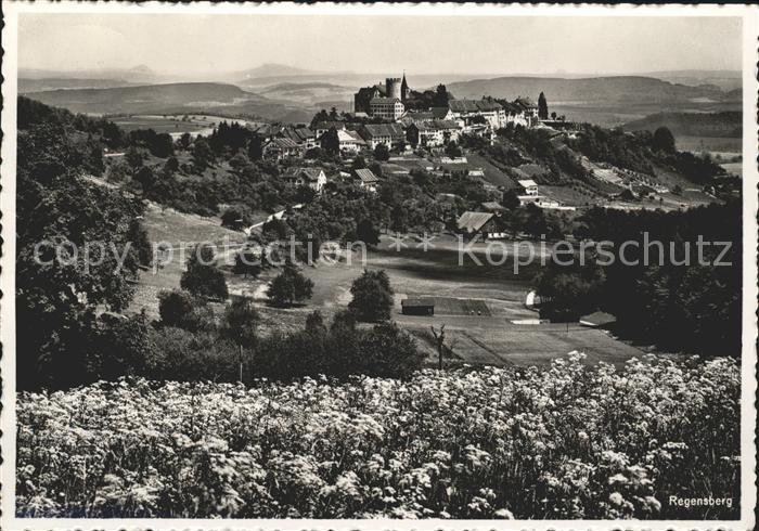 Regensberg Dielsdorf Einladung zur Weihnachtsfeier