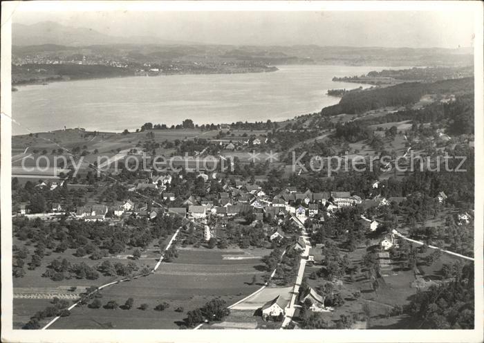 Faellanden Fliegeraufnahme mit Greifensee