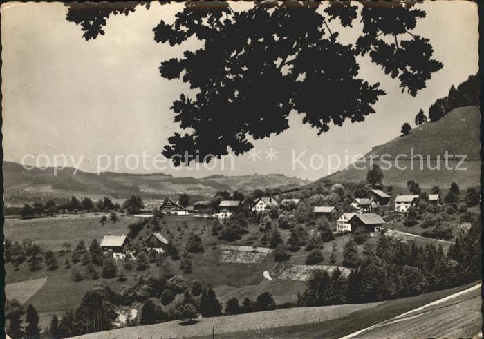 Wald ZH Stiftung Zuercher Pfadfinderheime
