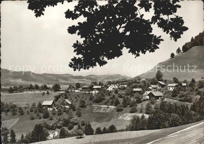 Hischwil Wald ZH Stiftung fuer Zuercher Pfadfinder