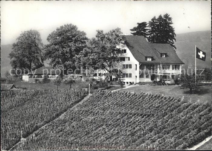 Zuerichsee Landgasthof Halbinsel Au