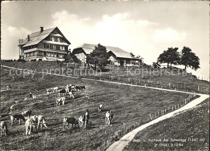 Wald ZH Gast- und Kurhaus Alp Scheidegg Kuehe