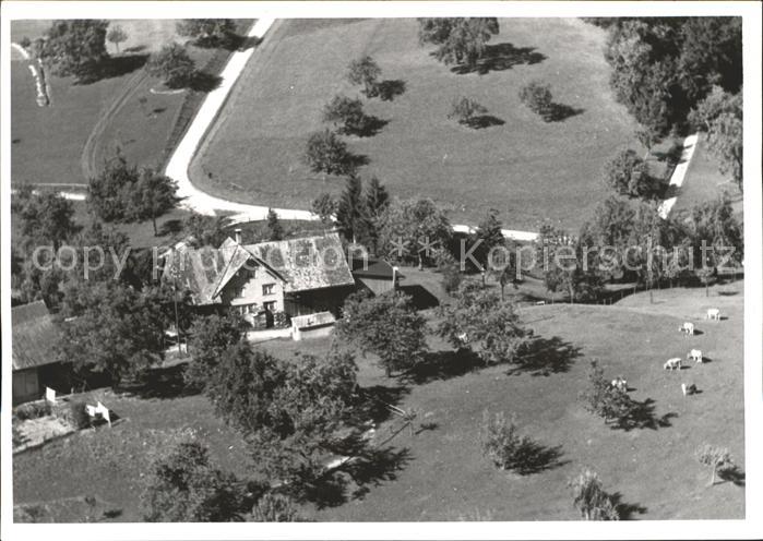Winterthur Fliegeraufnahme Bauernhof Kuehe