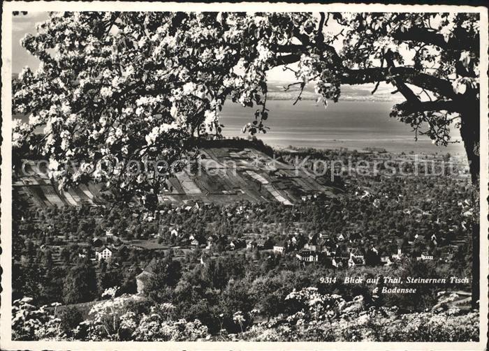 Thal Rheineck SG mit Steinernen Tisch und Bodensee