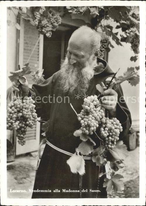 Locarno TI Vendemmia alla Madonna del Sasso