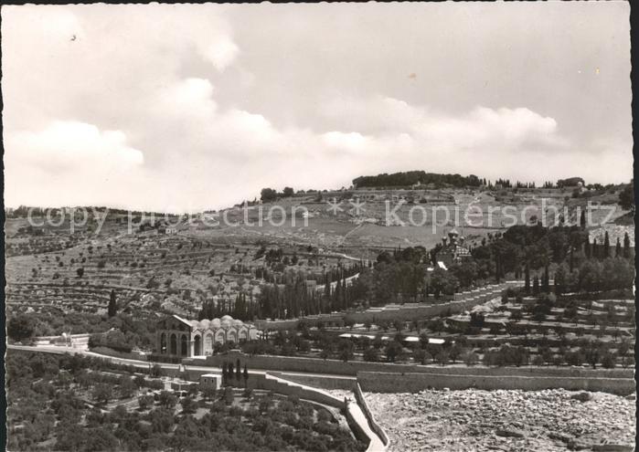 Cham ZG Oelberg mit Gethsemane und Basilika