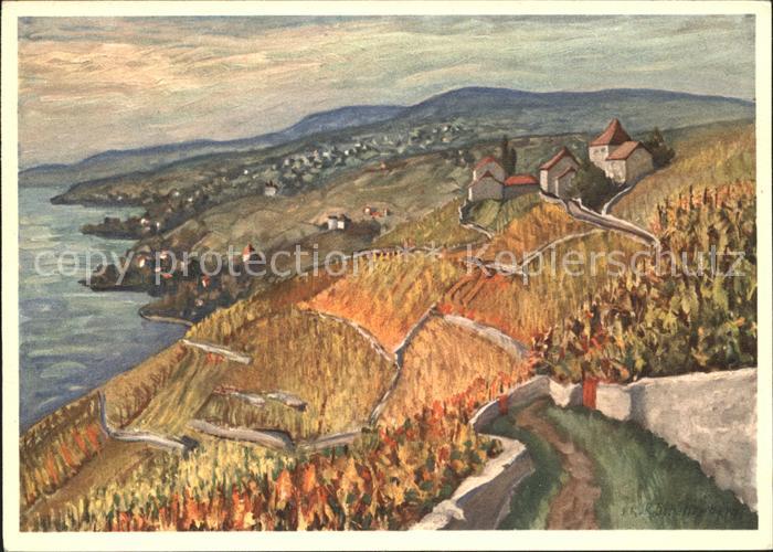 Genfersee Lac Leman Weinberg Kuenstlerkarte