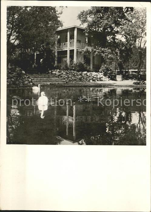 Magliaso Jugendheimstaette See Schwaene