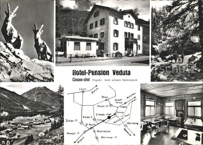 Cinuos-chel Hotel Pension Veduta Stube Panorama Gemsen