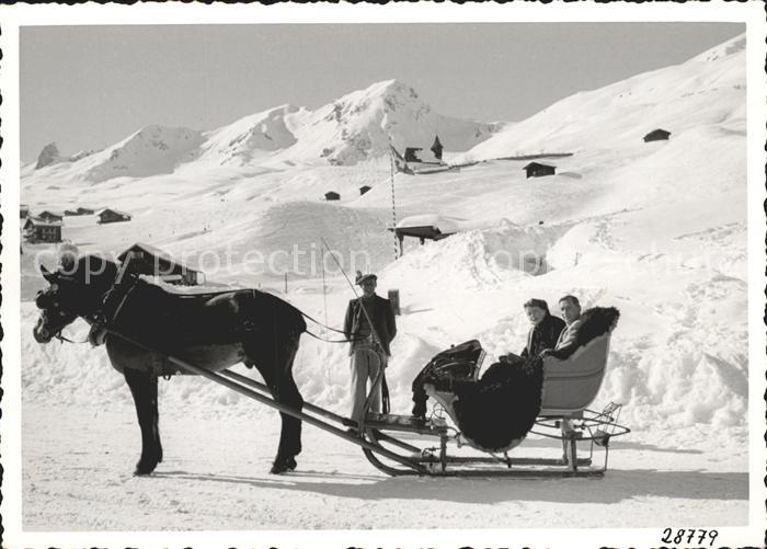 Arosa GR Pferdeschlittenfahrt