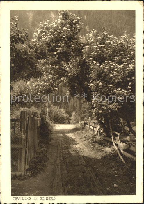 Schiers Fruehlingsmotiv