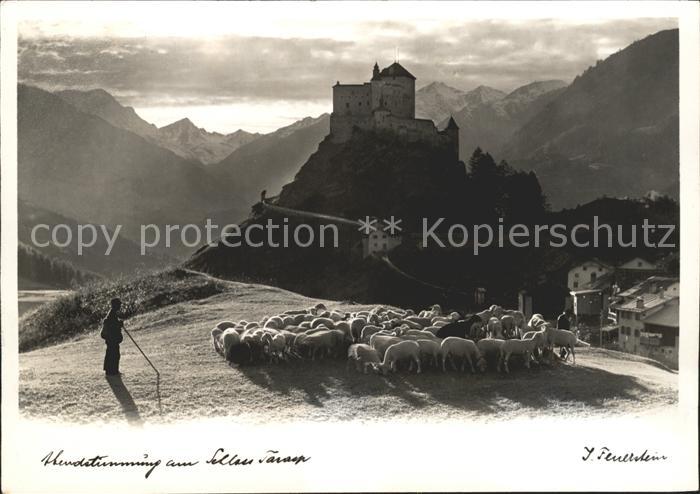 Tarasp Schloss Tarasp Schaefer mit Herde