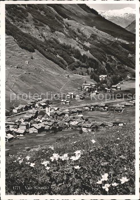 Vals GR Blick ins Tal Alpenflora