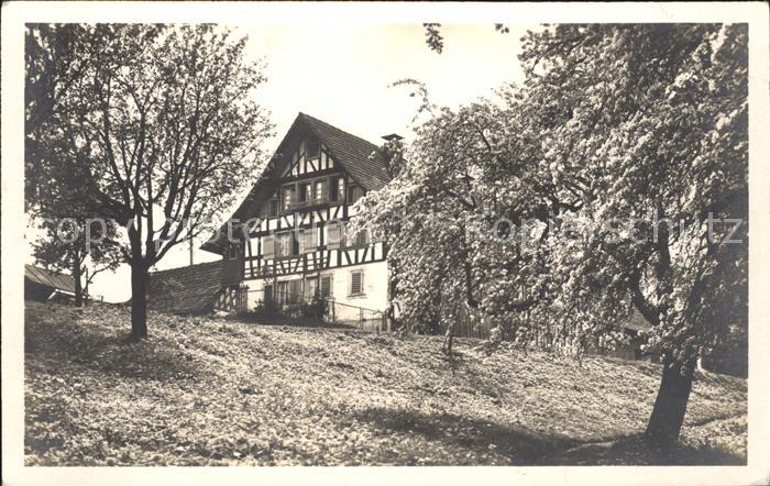 Thalwil Bauernhaus Baumbluete
