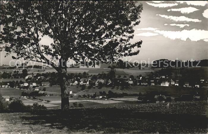 Pfaeffikon ZH Panorama