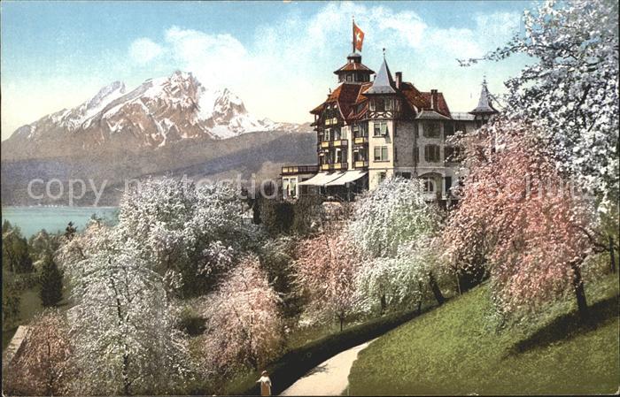 Weggis Vierwaldstaettersee Hotel Alpenblick mit Pilatus und Vierwaldstaettersee