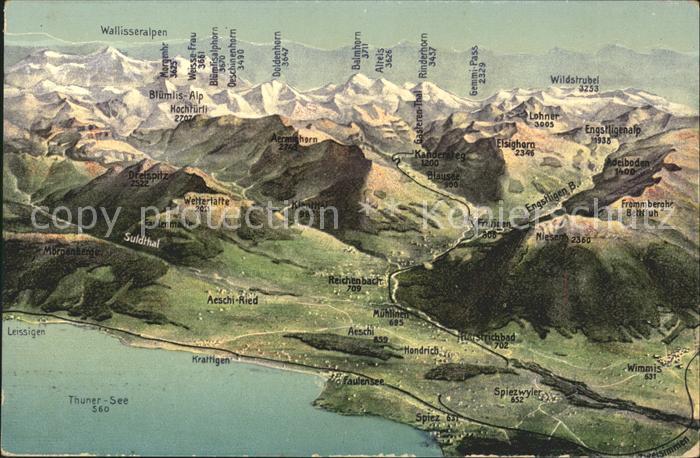 Thunersee Panoramakarte