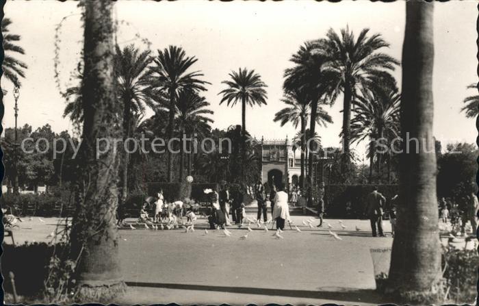 Sevilla Andalucia Plaza de las Palomas