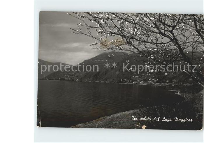 Lago Maggiore Seepanorama