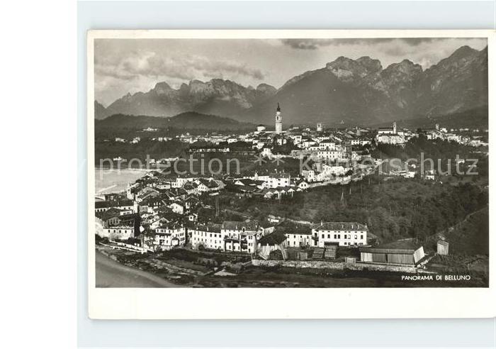 Belluno Panorama