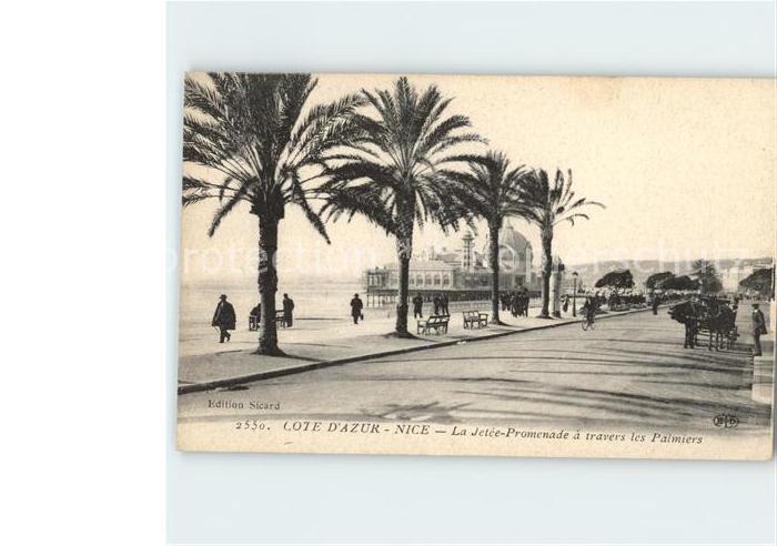 Nice Alpes Maritimes Cote Azur Promenade a travers les Palmiers